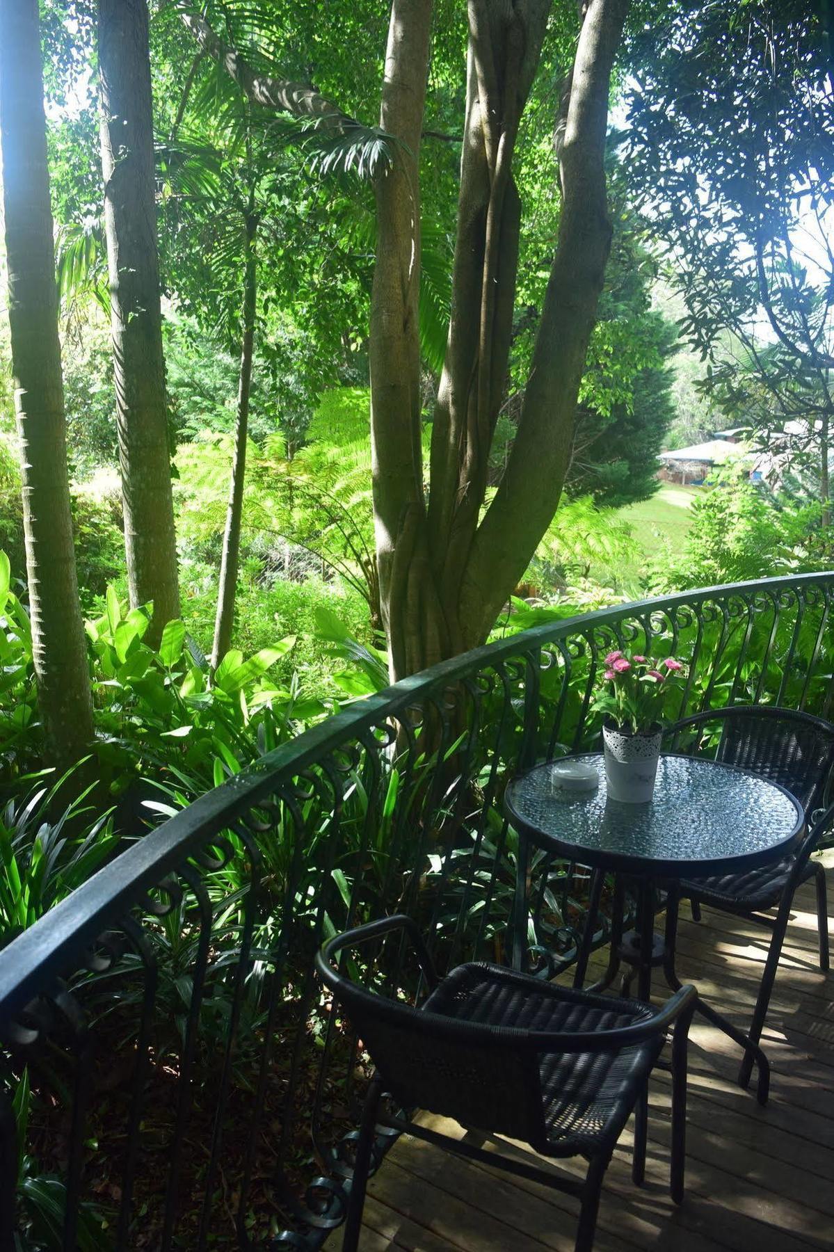 Chalet On Gallery Walk - King Bed, Spa, Fireplace, Wifi & Netflix, Linger A While Núi Tamborine Ngoại thất bức ảnh